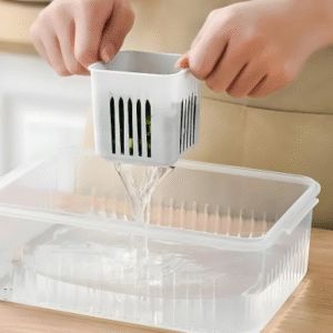 Fridge Container Large Box - 6 Grid